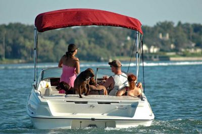 family with two dogs in yacht sailing, New York Boat Insurance